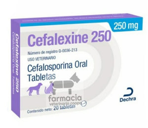 Cefalexine 250