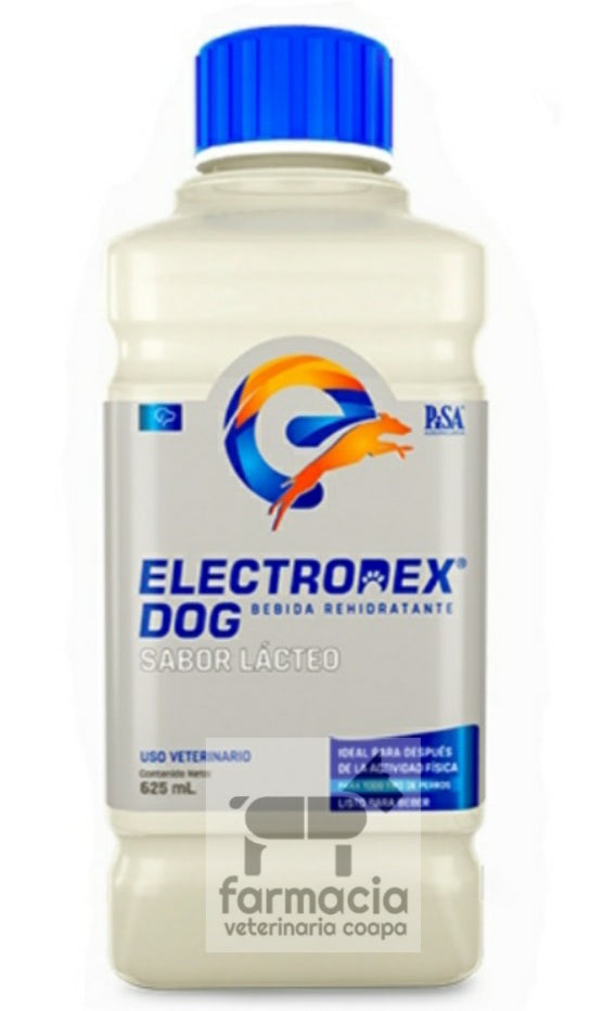 Electrodex dog