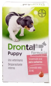 Drontal puppy