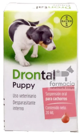 Drontal puppy
