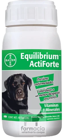 Equilibrium ActiForte