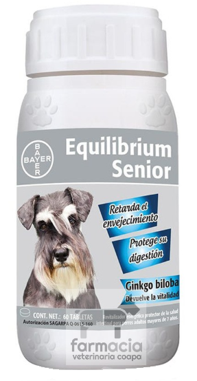 Equilibrium Senior