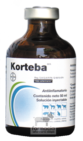 Korteba