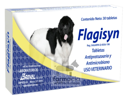Flagisyn