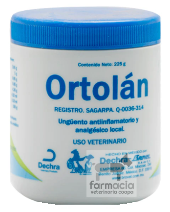 Ortolán