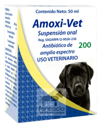 Amoxi Vet 200 suspensión