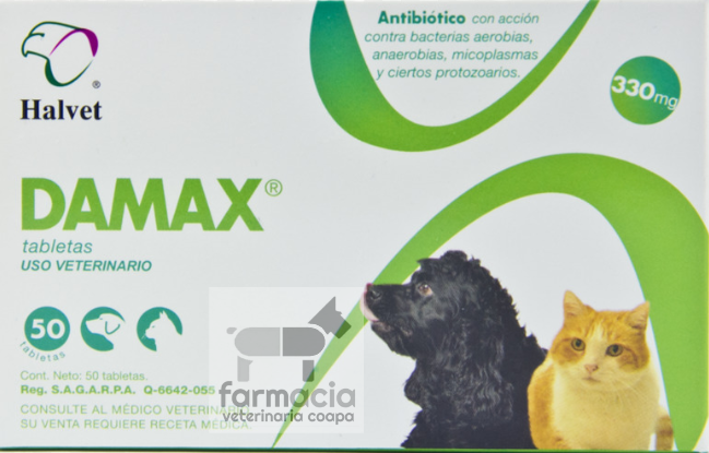 Damax  tabletas 330 mg (se vende por blister de 10 tabletas)