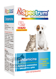 Spectrum Clindamicina solución 25 ml