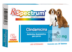 Spectrum  Clindamicina 50 mg