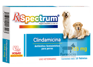 Spectrum Clindamicina 125 mg