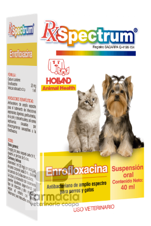 Spectrum Enrofloxacina suspensión 40 ml