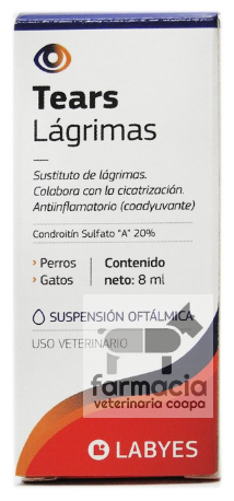 Tears Lágrimas