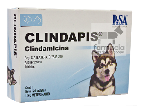 Clindapis