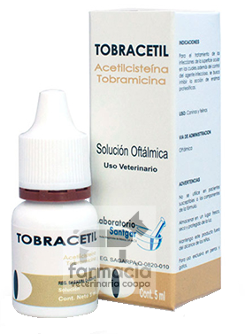 Tobracetil solución