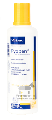 Pyoben Shampoo