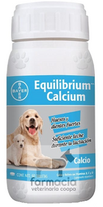 Equilibrium Calcium