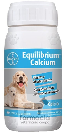 Equilibrium Calcium