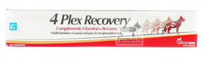 4 Plex Recovery