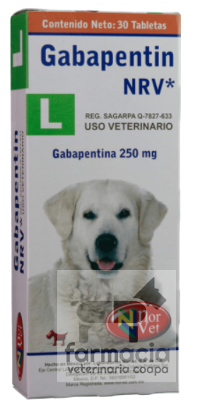 Gabapentin L