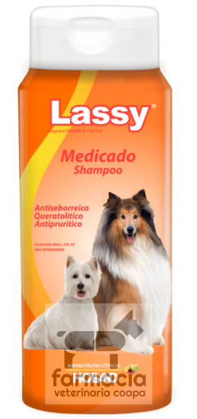Lassy Medicado Shampoo