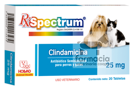 Spectrum Clindamicina 25 mg