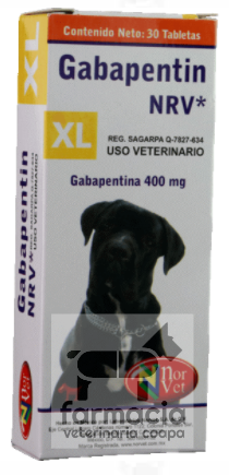 Gabapentin XL