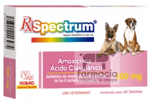 Spectrum Amoxicilina-Ácido clavulánico  500 mg