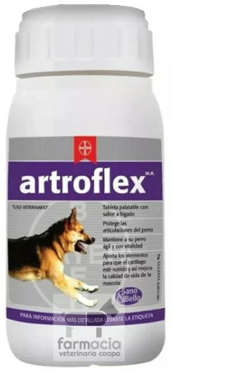 Artroflex