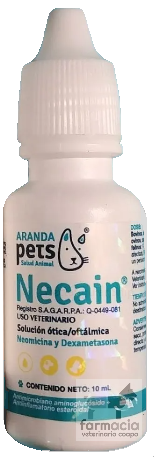 Necaín