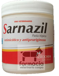 Sarnazil
